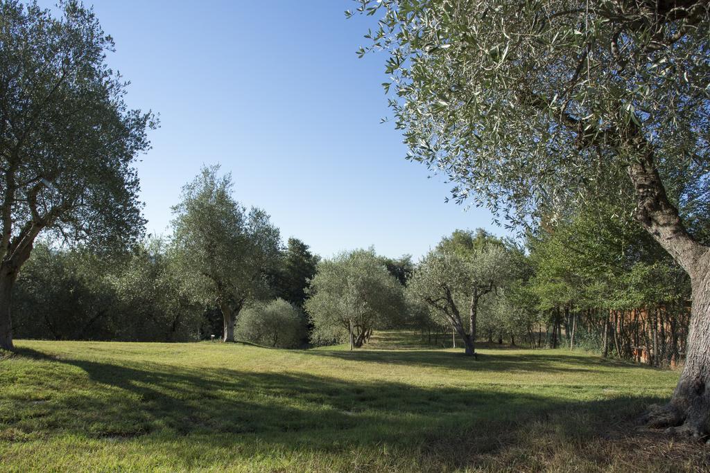 Casale Degli Ulivi Hotel Rapolano Terme Exterior foto
