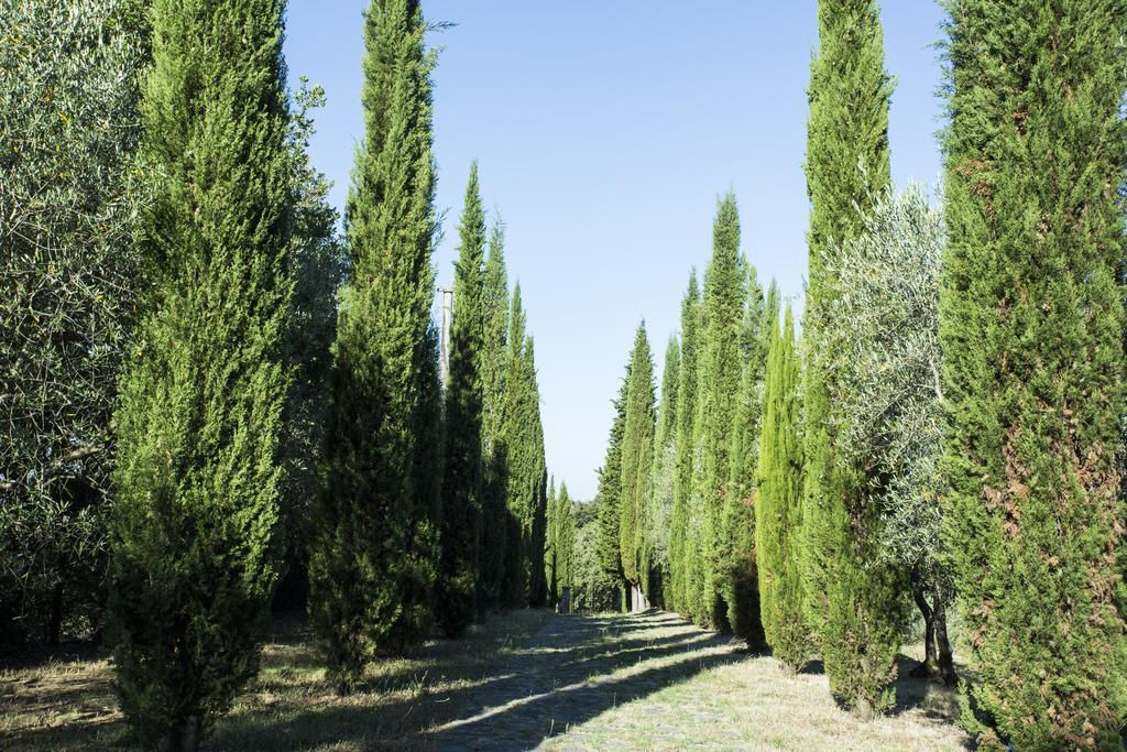 Casale Degli Ulivi Hotel Rapolano Terme Exterior foto